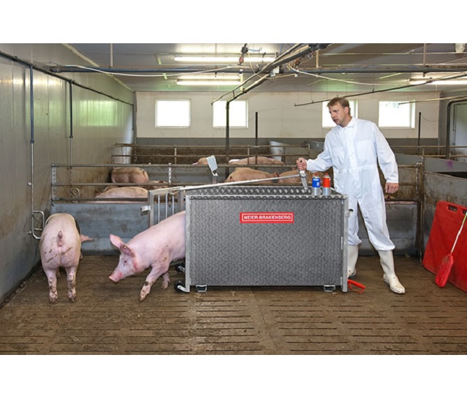 Electronic scale sows wsa
